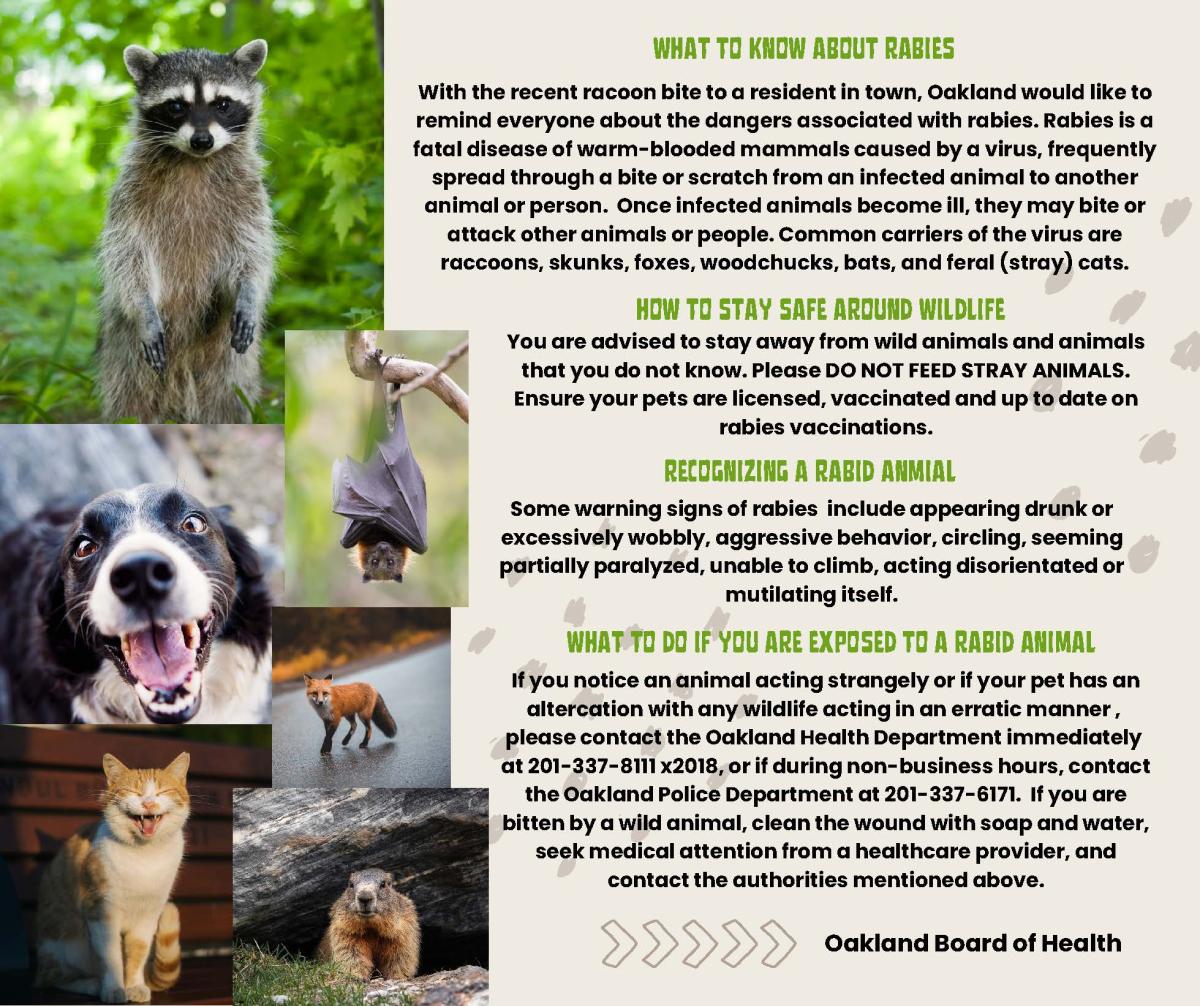 Rabies fact sheet with pictures of animals.