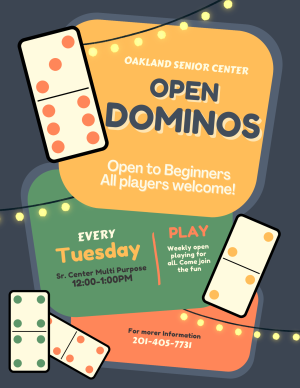 Dominos Club