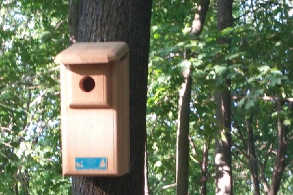 Stewart Woods Addition of Bird and Bat Boxes