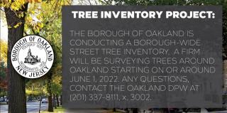 Tree Inventory Project - (6-1-2022)