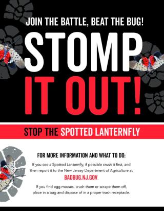 Spotted Lanternfly - 2022