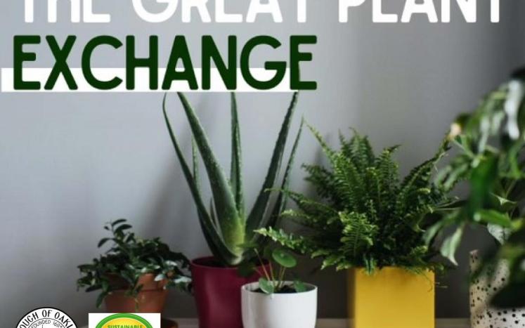 Great Plant Exchange 